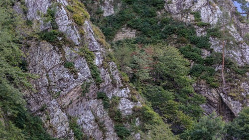 Rockfall protection