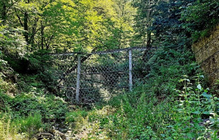 На данный момент успешно реализован ряд проектов, среди них