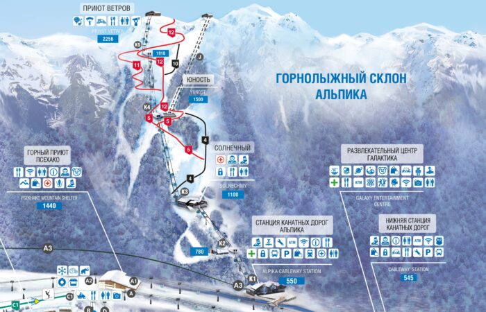 Схема курарта Альпика-Сервис