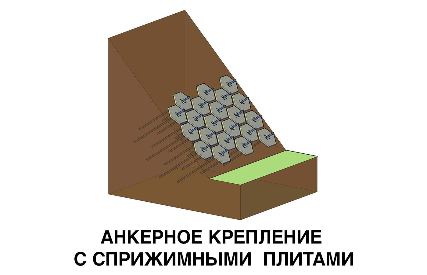 5с - 3 анкерное с прижимными