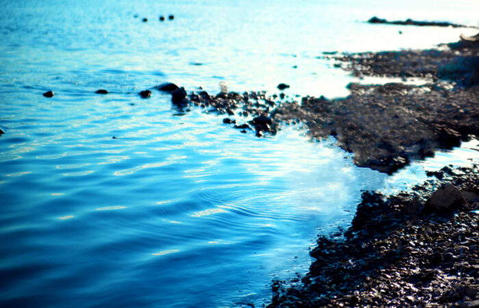 Polluted lake shore. A reservoir polluted by the Norilsk Nickel company. The concept of pollution of reservoirs, environment, ecological dis