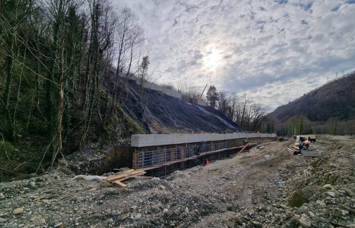 1 Общий вид берегозащитной свайной подпорной стены