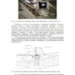 статья 5